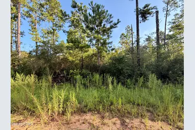 Lot 4 Black Hills Street, Alford, FL 32420 - Photo 2