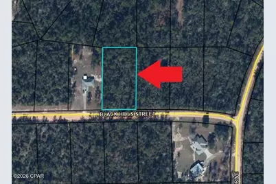 Lot 4 Black Hills Street, Alford, FL 32420 - Photo 4