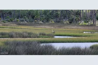 14 Waters Edge Drive, Port Saint Joe, FL 32456 - Photo 36