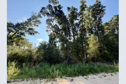 Lots 20-22 Sorrento Avenue, Alford, FL 32420 - Photo 1