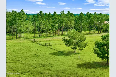 1979 Mutual Road, Cottondale, FL 32431 - Photo 10