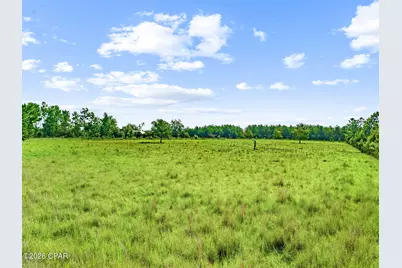 1979 Mutual Road, Cottondale, FL 32431 - Photo 56