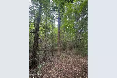 0 Poplar Springs Road, Marianna, FL 32446 - Photo 10