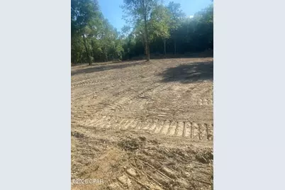 Lot 54 Reedy Creek Crossing #Lot 54, Westville, FL 32464 - Photo 1