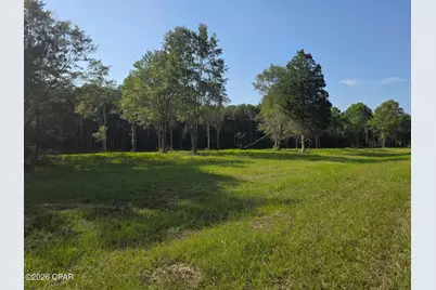 Lot 54 Reedy Creek Crossing #Lot 54, Westville, FL 32464 - Photo 1