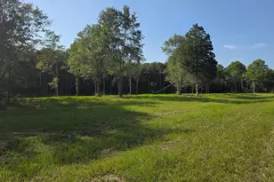 Lot 54 Reedy Creek Crossing, Westville, FL 32464 - Photo 1
