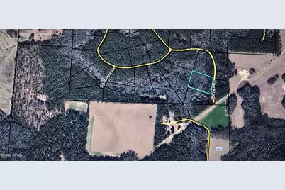 Lot 54 Reedy Creek Crossing #Lot 54, Westville, FL 32464 - Photo 4