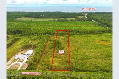195 Jones Homestead Road, Port Saint Joe, FL 32456 - Photo 4