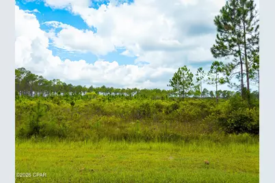 195 Jones Homestead Road, Port Saint Joe, FL 32456 - Photo 2