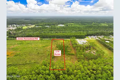 195 Jones Homestead Road, Port Saint Joe, FL 32456 - Photo 8