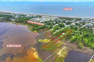 931 Cape San Blas Rd, Port Saint Joe, FL 32456 - Photo 2