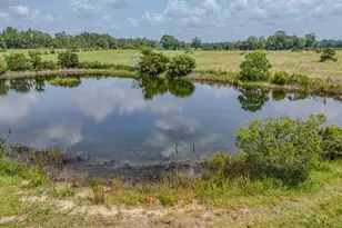 13274 N US Hwy 331, Defuniak Springs, FL 32433 - Photo 46