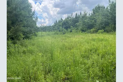 00 Sylvantia Plantation Road, Greenwood, FL 32443 - Photo 18