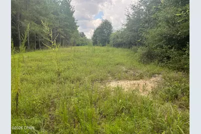 00 Sylvantia Plantation Road, Greenwood, FL 32443 - Photo 20