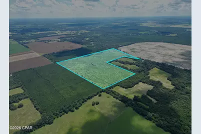00 Sylvantia Plantation Road, Greenwood, FL 32443 - Photo 2