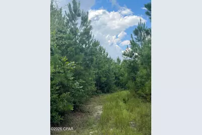 00 Sylvantia Plantation Road, Greenwood, FL 32443 - Photo 22
