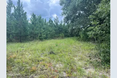 [Address not provided], Greenwood, FL 32443 - Photo 8