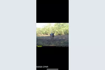 [Address not provided], Greenwood, FL 32443 - Photo 6