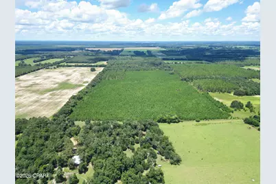 [Address not provided], Greenwood, FL 32443 - Photo 14