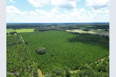 [Address not provided], Greenwood, FL 32443 - Photo 4