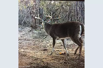 [Address not provided], Greenwood, FL 32443 - Photo 10