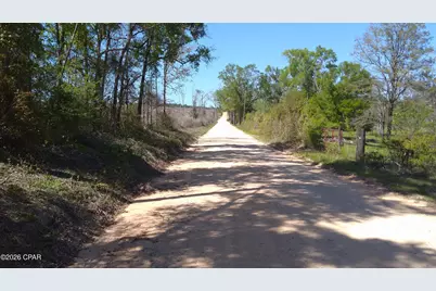 0 Alton Lane, Chipley, FL 32428 - Photo 8