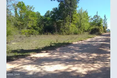 0 Alton Lane, Chipley, FL 32428 - Photo 4