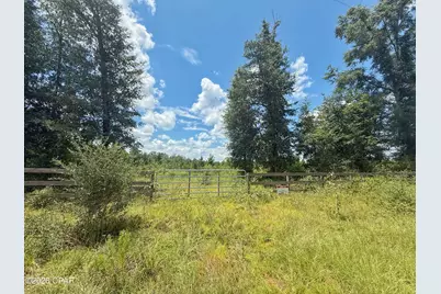 0 Peanut Road, Cottondale, FL 32431 - Photo 8
