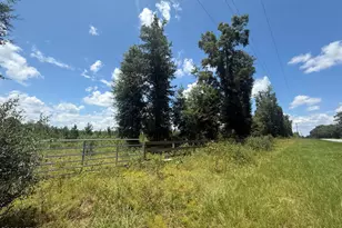 0 Peanut Rd, Cottondale, FL 32431 - Photo 1