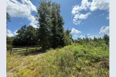 0 Peanut Road, Cottondale, FL 32431 - Photo 2