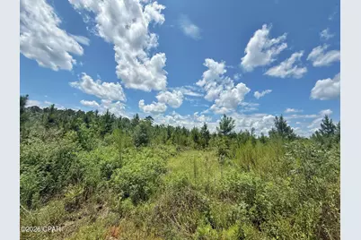 0 Peanut Road, Cottondale, FL 32431 - Photo 4