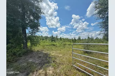 0 Peanut Road, Cottondale, FL 32431 - Photo 6