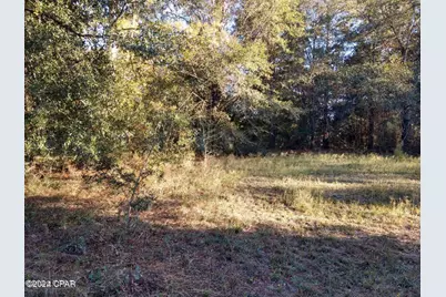 00 Marian Drive, Bonifay, FL 32425 - Photo 1