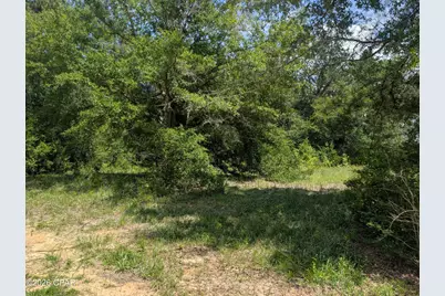 00 Marian Drive, Bonifay, FL 32425 - Photo 4