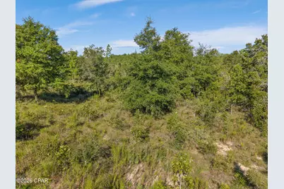 Xxx Cavalier Drive #Lot 14, Chipley, FL 32428 - Photo 16