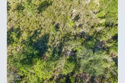 Xxx Cavalier Drive #Lot 14, Chipley, FL 32428 - Photo 14