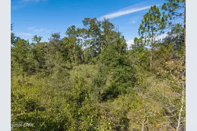 Xxx Cavalier Drive #Lot 15, Chipley, FL 32428 - Photo 18