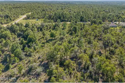 Xxx Cavalier Drive #Lot 15, Chipley, FL 32428 - Photo 10