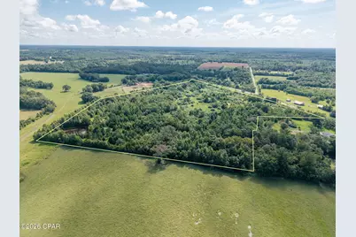 Xxx Highway 173, Bonifay, FL 32425 - Photo 6