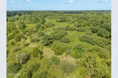 Xxx Highway 173, Bonifay, FL 32425 - Photo 10