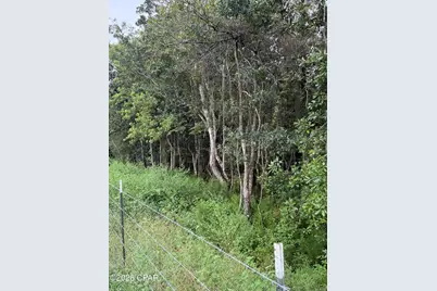 Xxxx Hwy 179A, Westville, FL 32464 - Photo 12