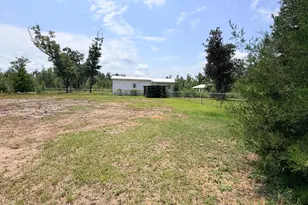 9906 Indian Bluff Rd, Youngstown, FL 32466 - Photo 14