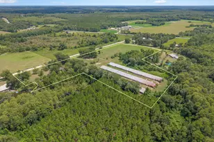 1208 Alex Brown Rd, Bonifay, FL 32425 - Photo 38
