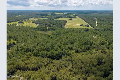 Lot 12 Cypress Crossing Road, Vernon, FL 32462 - Photo 16