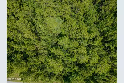 Lot 12 Cypress Crossing Road, Vernon, FL 32462 - Photo 20