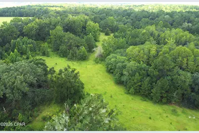 Xxx SW County Road 379, Bristol, FL 32321 - Photo 10