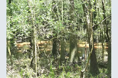 Xxx SW County Road 379, Bristol, FL 32321 - Photo 18