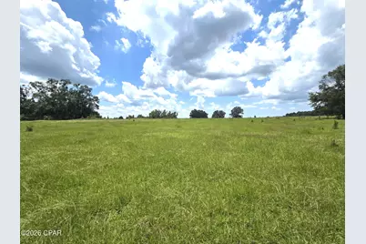 Xxx SW County Road 379, Bristol, FL 32321 - Photo 24