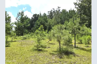 Xxx SW County Road 379, Bristol, FL 32321 - Photo 22