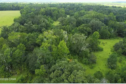 Xxx SW County Road 379, Bristol, FL 32321 - Photo 8